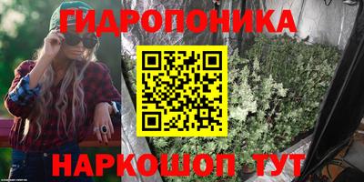 spice Дубна