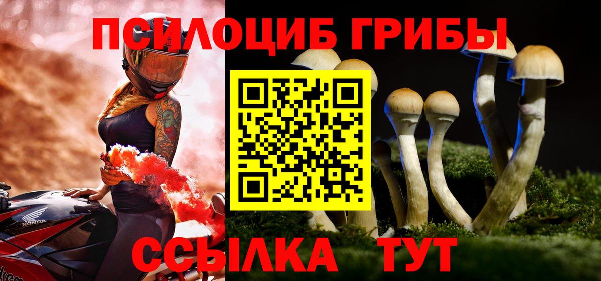 Псилоцибиновые грибы Psilocybine cubensis  Галлюциногенные грибы Psilocybine cubensis  Вход с VPN  Мариинск 